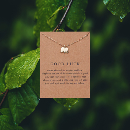 The Love & Light Collection